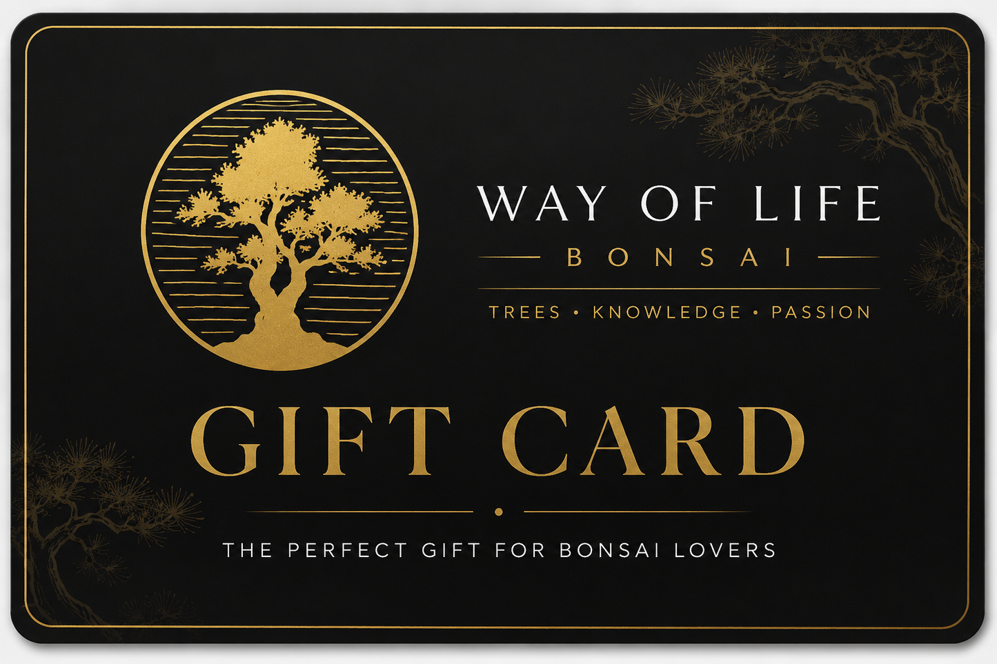Give the gift of bonsai