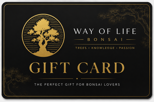 Give the Gift of Bonsai