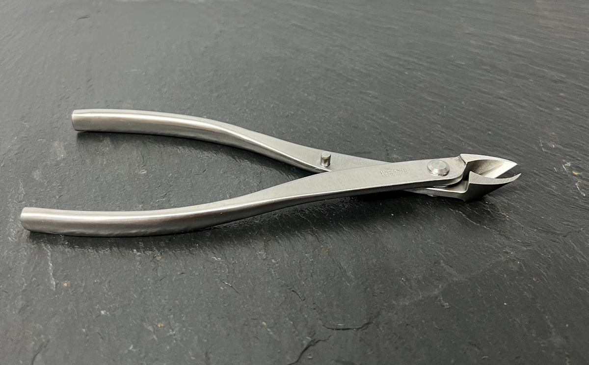 Bonsai Essential - 180mm Premium Stainless Steel Fine Branch Cutters
