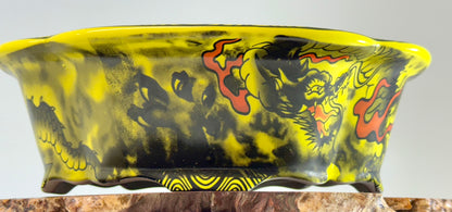 Chinese Yixing - Yellow Dragon Painted Bonsai Pot.