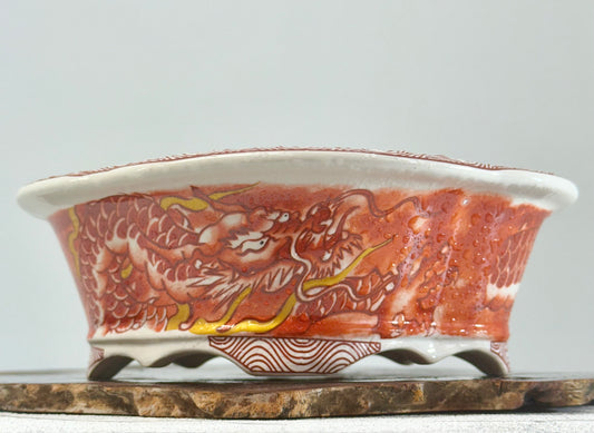 Chinese Yixing Dragon Bonsai Pot | Hand-Painted Mokko – 20.5cm