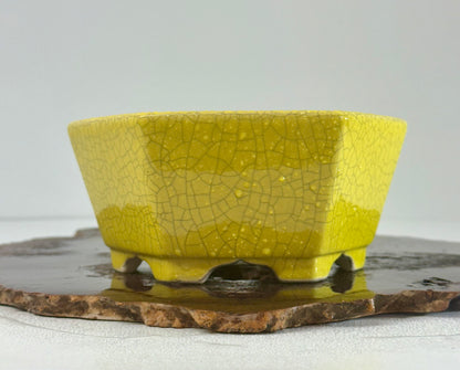 Chinese Yixing - Yellow Crackle/Inked Glazed Bonsai Pot.
