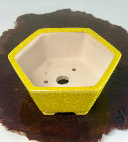 Chinese Yixing - Yellow Crackle/Inked Glazed Bonsai Pot.