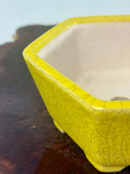 Chinese Yixing - Yellow Crackle/Inked Glazed Bonsai Pot.