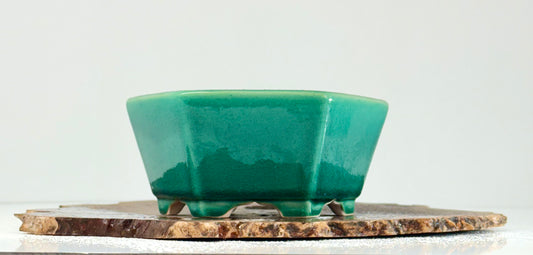 Green Chinese Yixing Bonsai Pot | Hexagon Style – 16cm