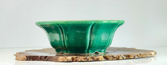 Green Crackle Glaze Chinese Yixing Bonsai Pot | Lotus Style – 18cm