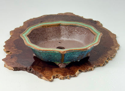 Chinese Yixing - Wood Fired Premium Nameko Glazed Bonsai Pot.