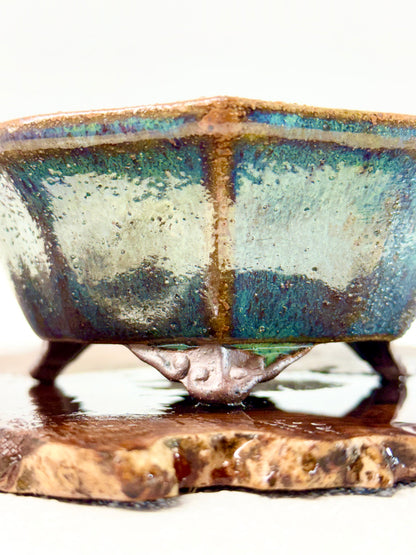 Chinese Yixing - Wood Fired Premium Nameko Glazed Bonsai Pot.