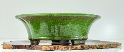 Chinese Yixing - Wood Fired Premium Green Speckled Glazed Bonsai Pot.