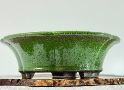 Chinese Yixing - Wood Fired Premium Green Speckled Glazed Bonsai Pot.