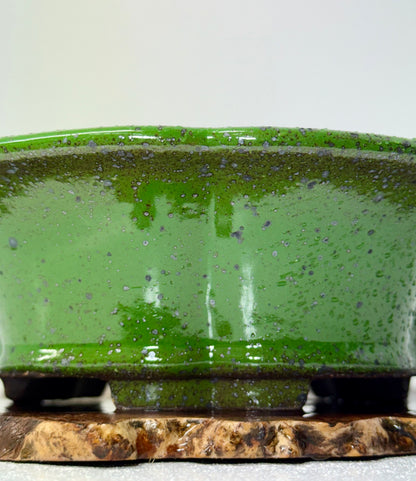 Chinese Yixing - Wood Fired Premium Green Speckled Glazed Bonsai Pot.
