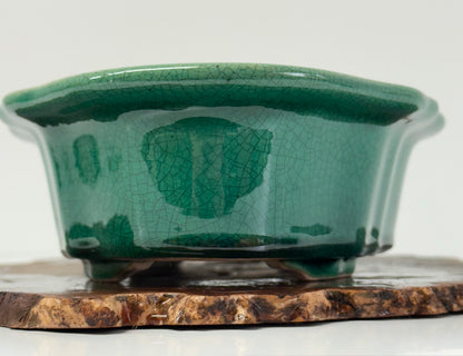 Chinese Yixing - Green Crackle/Inked Glazed Bonsai Pot.