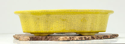 Chinese Yixing Bonsai Pot | Lotus Mokko Crackle Glaze – 26.5cm
