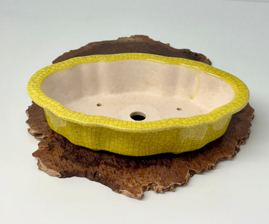 Chinese Yixing Bonsai Pot | Lotus Mokko Crackle Glaze – 26.5cm