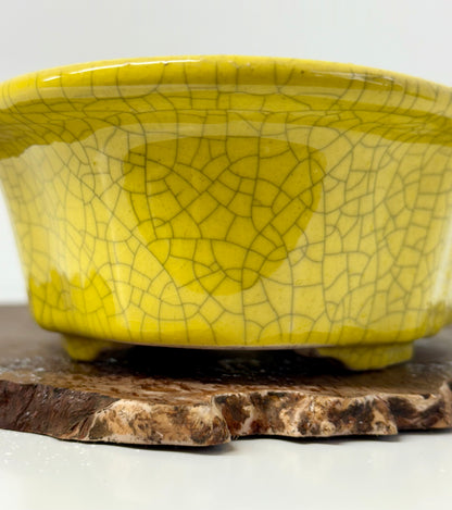 Chinese Yixing Bonsai Pot | Lotus Mokko Crackle Glaze – 26.5cm