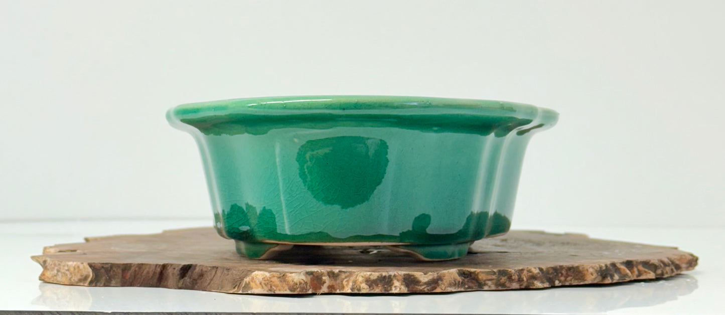 Chinese Yixing Bonsai Pot | Lotus Mokko Green Glaze – 26.5cm