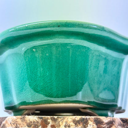 Chinese Yixing Bonsai Pot | Lotus Mokko Green Glaze – 26.5cm