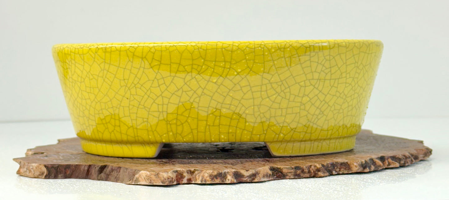 Chinese Yixing Bonsai Pot | Oval Crackled/ Inked Yellow Glaze – 23.5cm