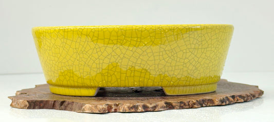 Chinese Yixing Bonsai Pot | Oval Crackled/ Inked Yellow Glaze – 23.5cm