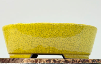 Chinese Yixing Bonsai Pot | Oval Crackled/ Inked Yellow Glaze – 23.5cm