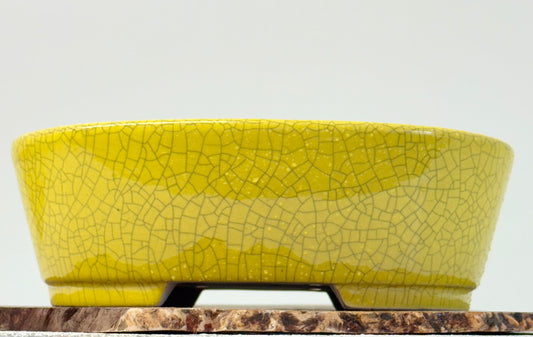 Chinese Yixing Bonsai Pot | Oval Crackled/ Inked Yellow Glaze – 23.5cm