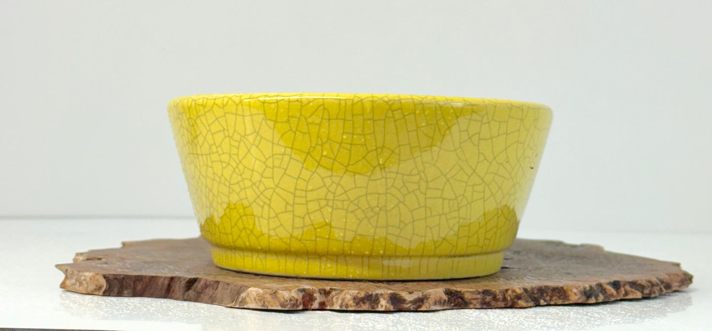 Chinese Yixing Bonsai Pot | Oval Crackled/ Inked Yellow Glaze – 23.5cm