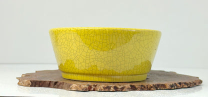 Chinese Yixing Bonsai Pot | Oval Crackled/ Inked Yellow Glaze – 23.5cm