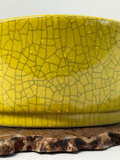 Chinese Yixing Bonsai Pot | Oval Crackled/ Inked Yellow Glaze – 23.5cm
