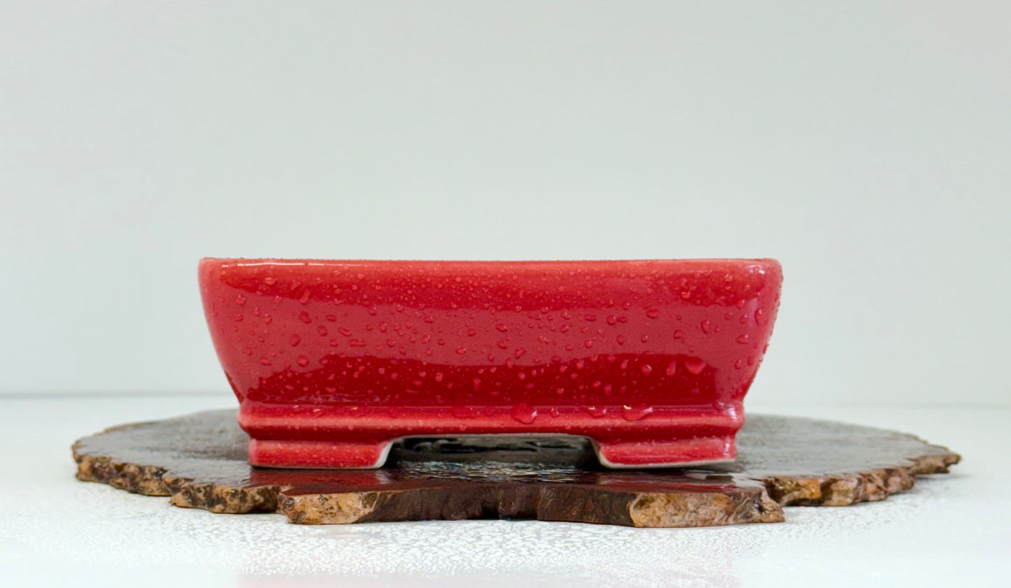 Chinese Yixing Bonsai Pot | Rectangle Red  Glaze – 17.5cm