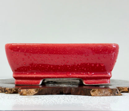 Chinese Yixing Bonsai Pot | Rectangle Red  Glaze – 17.5cm