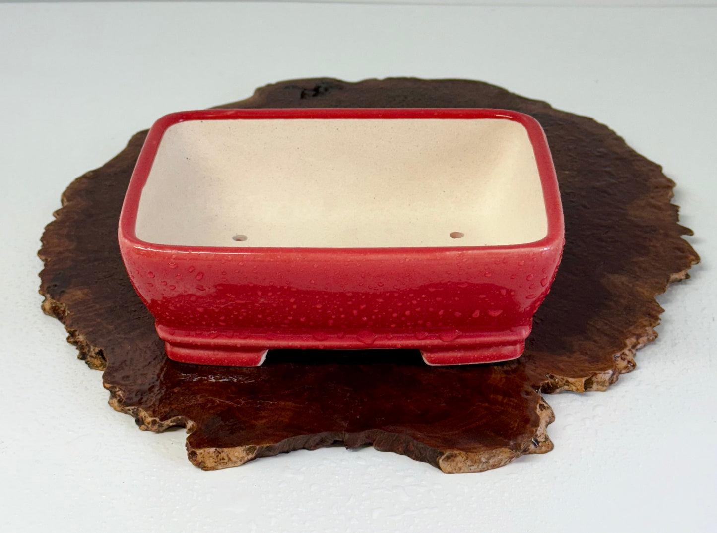 Chinese Yixing Bonsai Pot | Rectangle Red  Glaze – 17.5cm