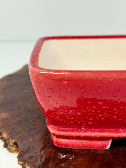 Chinese Yixing Bonsai Pot | Rectangle Red  Glaze – 17.5cm