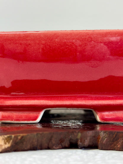 Chinese Yixing Bonsai Pot | Rectangle Red  Glaze – 17.5cm