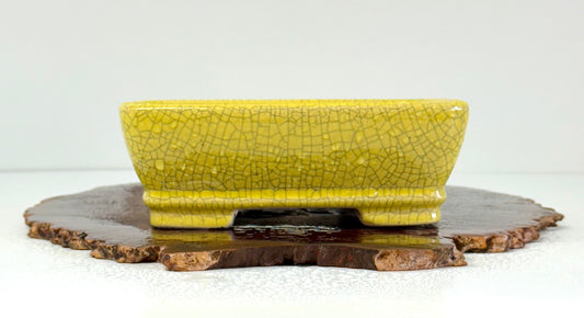 Chinese Yixing Bonsai Pot | Rectangle Crackled/ Inked Yellow Glaze – 17.5cm