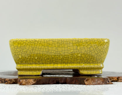Chinese Yixing Bonsai Pot | Rectangle Crackled/ Inked Yellow Glaze – 17.5cm