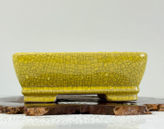 Chinese Yixing Bonsai Pot | Rectangle Crackled/ Inked Yellow Glaze – 17.5cm