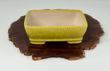 Chinese Yixing Bonsai Pot | Rectangle Crackled/ Inked Yellow Glaze – 17.5cm