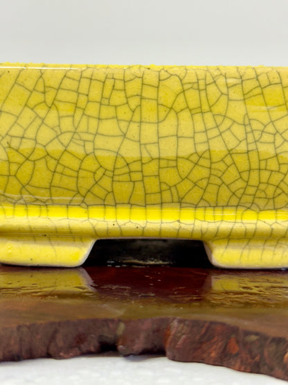 Chinese Yixing Bonsai Pot | Rectangle Crackled/ Inked Yellow Glaze – 17.5cm