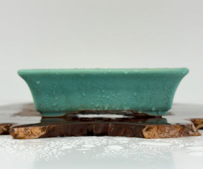 Chinese Yixing Bonsai Pot | Rectangle Speckled Aqua Glaze – 17.5cm