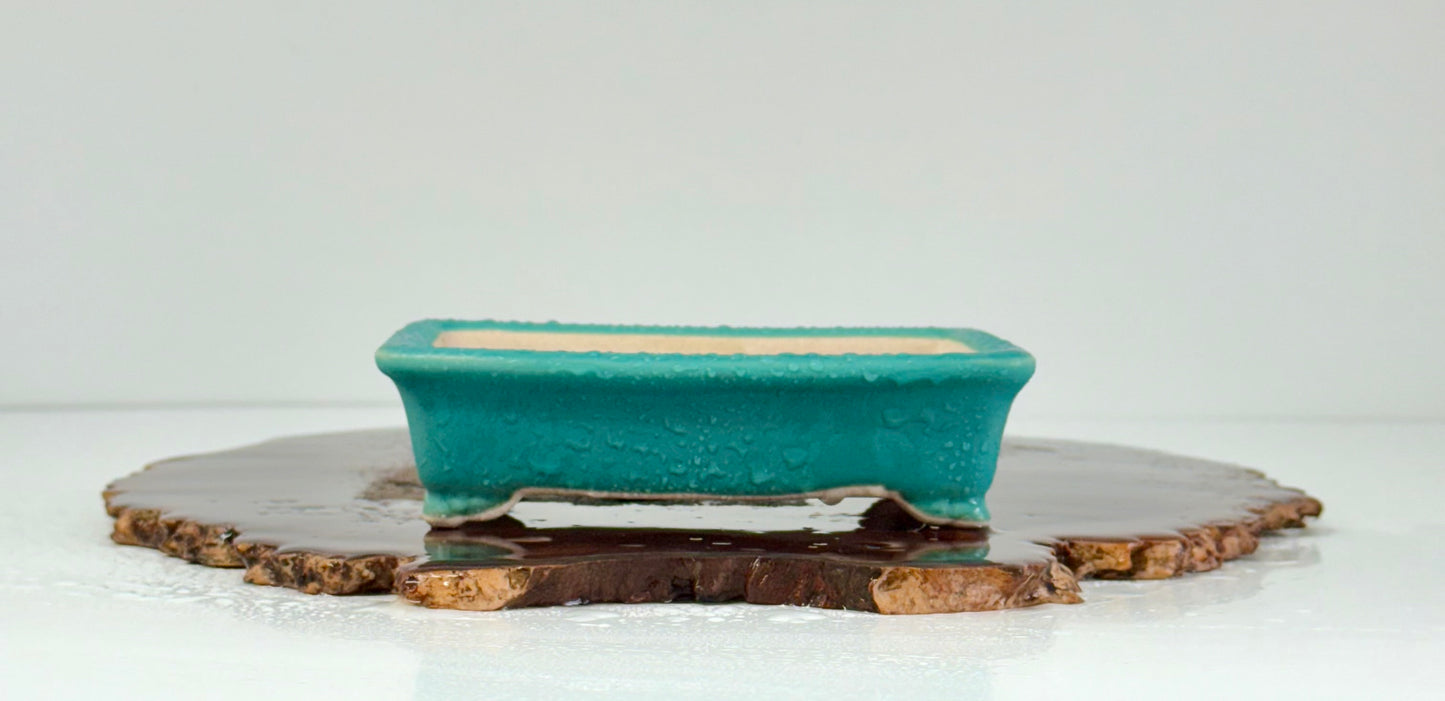 Chinese Yixing Bonsai Pot | Rectangle Aqua Glaze – 14cm