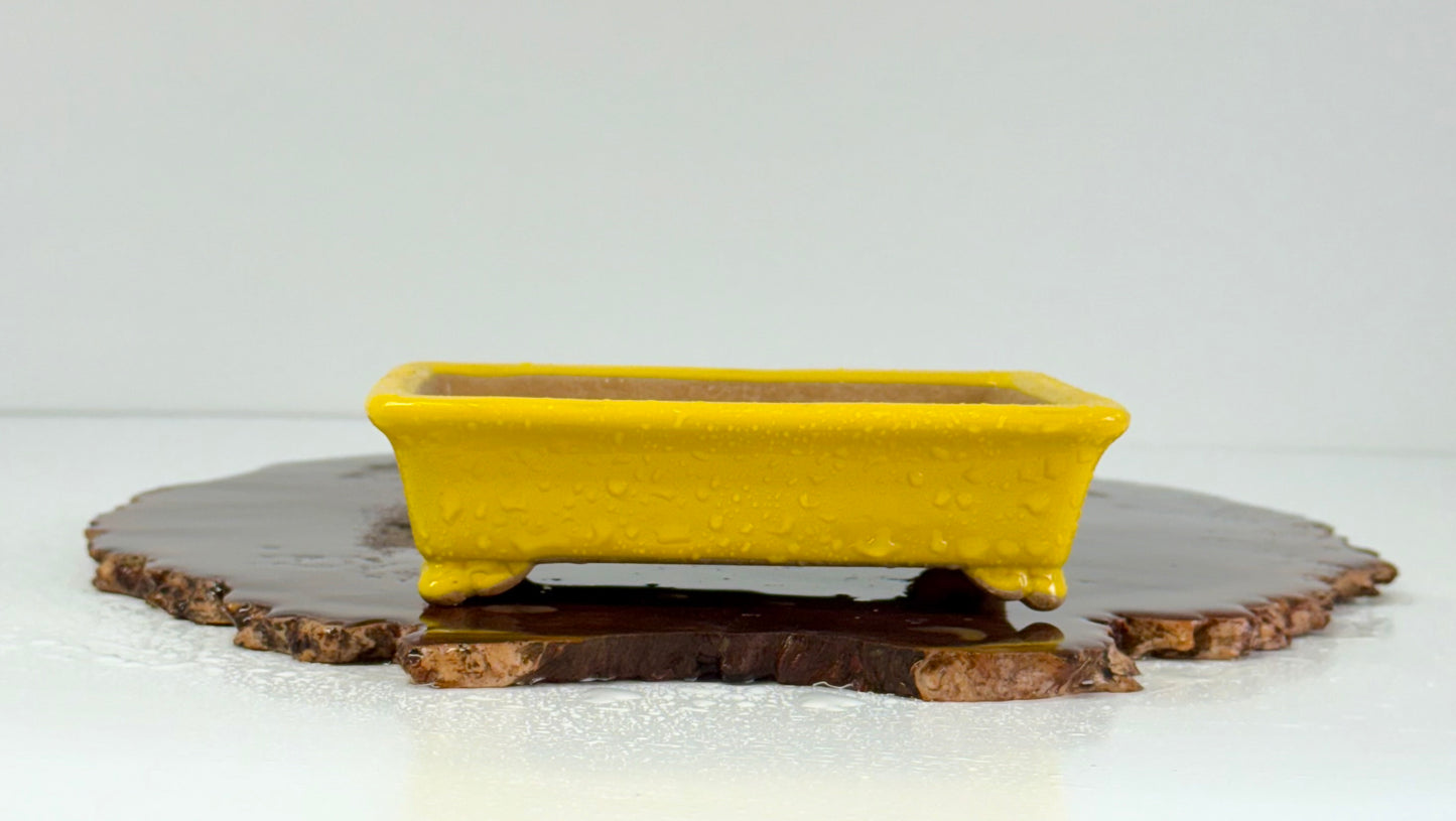 Chinese Yixing Bonsai Pot | Rectangle Yellow Glaze – 14.5cm