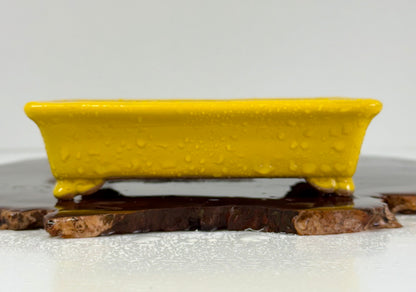 Chinese Yixing Bonsai Pot | Rectangle Yellow Glaze – 14.5cm