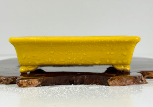 Chinese Yixing Bonsai Pot | Rectangle Yellow Glaze – 14.5cm