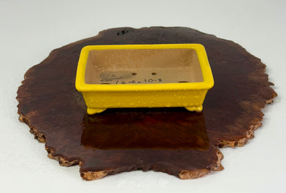 Chinese Yixing Bonsai Pot | Rectangle Yellow Glaze – 14.5cm