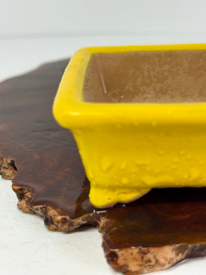 Chinese Yixing Bonsai Pot | Rectangle Yellow Glaze – 14.5cm