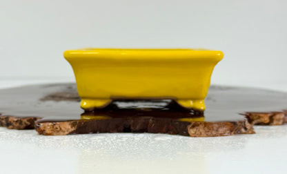 Chinese Yixing Bonsai Pot | Rectangle Yellow Glaze – 14.5cm