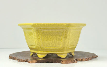Chinese Yixing Bonsai Pot | Hexagon Yellow Crackled / Inked Glaze – 21 cm