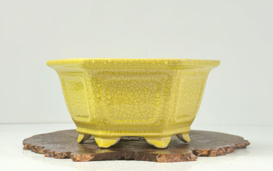 Chinese Yixing Bonsai Pot | Hexagon Yellow Crackled / Inked Glaze – 21 cm