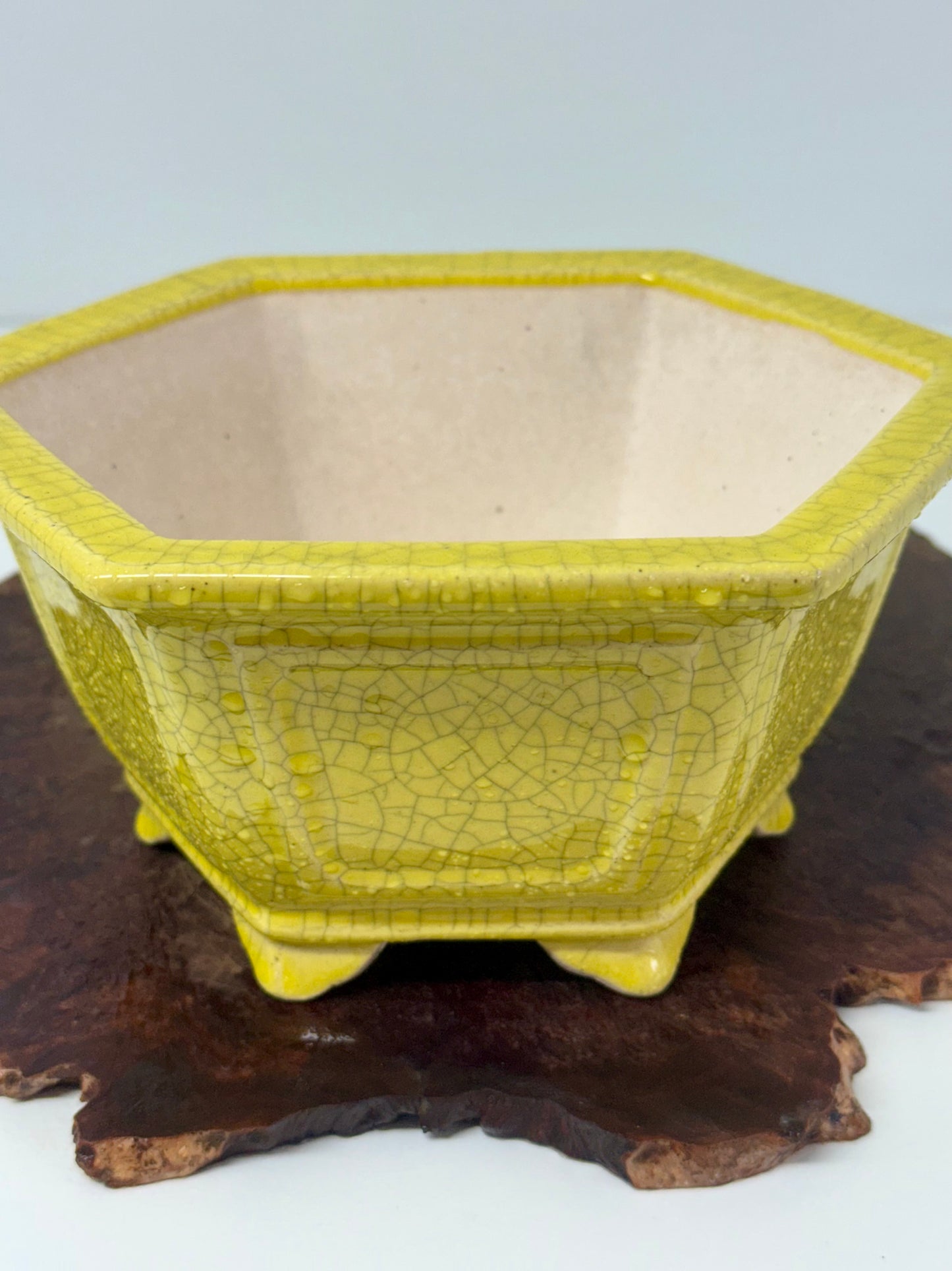 Chinese Yixing Bonsai Pot | Hexagon Yellow Crackled / Inked Glaze – 21 cm