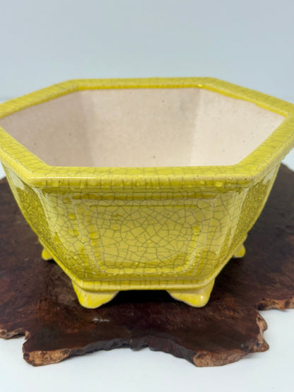 Chinese Yixing Bonsai Pot | Hexagon Yellow Crackled / Inked Glaze – 21 cm